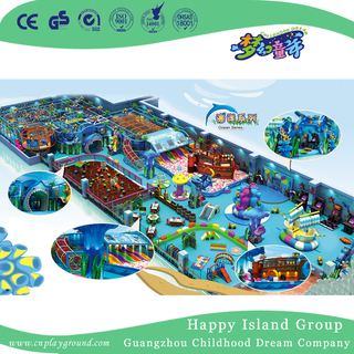 Large Cartoon Animal Children Ocean Indoor Playground (HHK-8601)